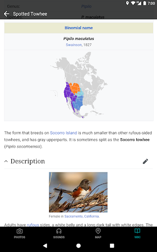 GoBird - Guide to Nearby Birds 15