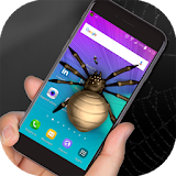Spider in phone prank icon