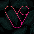 Download Vera Outline Icon Pack 5.7.1 Apk for android