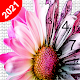 Beautiful Flower Pixel - Coloring by Number