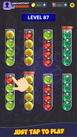 Game screenshot Color Puzzle Ball Sort Games apk download