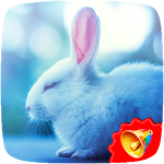 Cover Image of Download Rabbit Sounds  APK