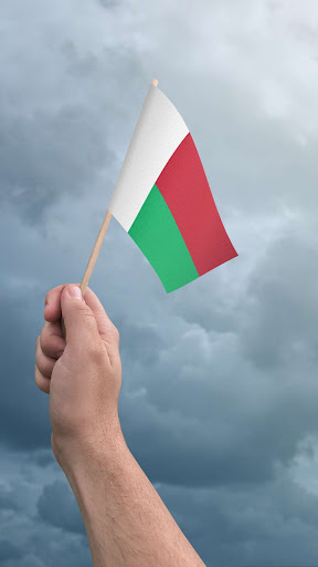 Android application Madagascar flag screenshort