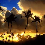 Cover Image of Download Hawaii Wallpapers HD 1.0 APK