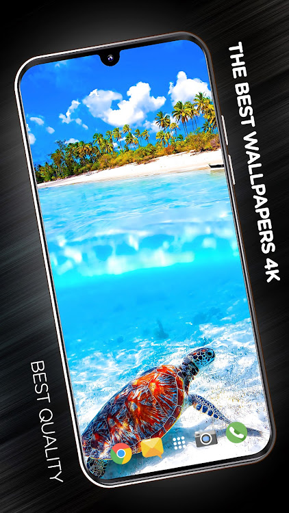 Beach Wallpapers in 4K - 3.2.0 - (Android)