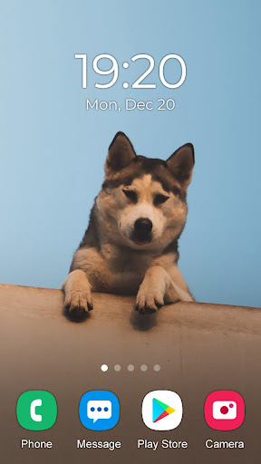 Dog Wallpaper 2023 Screen 3