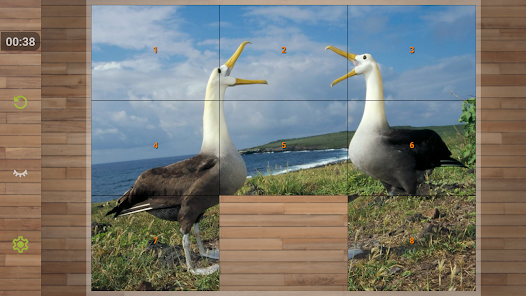 Bird Puzzle Games  screenshots 4