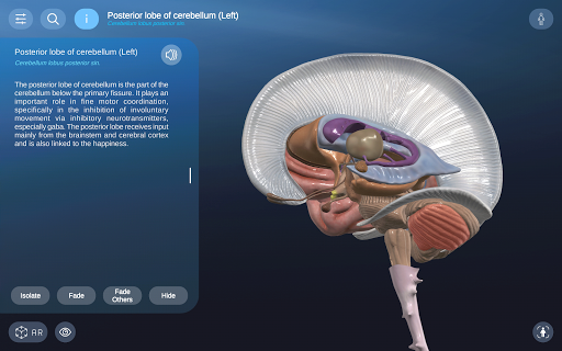 AR Anatomy screenshot 11