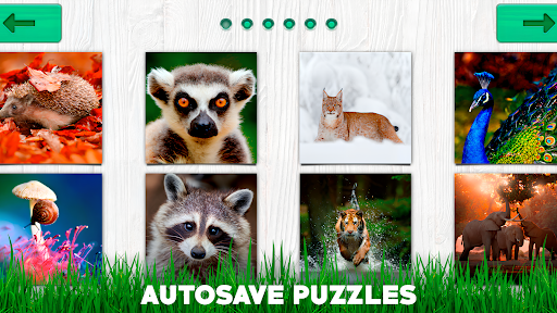 Puzzle offline: adult puzzles Screen 3