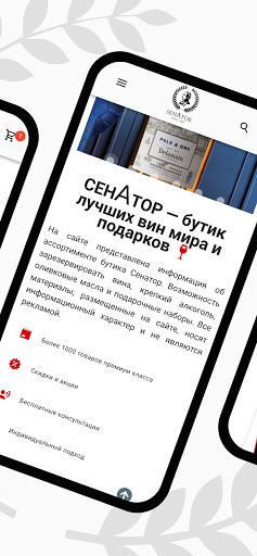 Сенатор (Senator) Screen 2