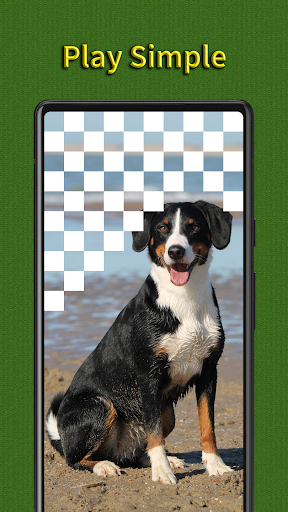 Jigsaw Puzzle - Interesting Screen 2