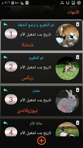 ادارة الارنب