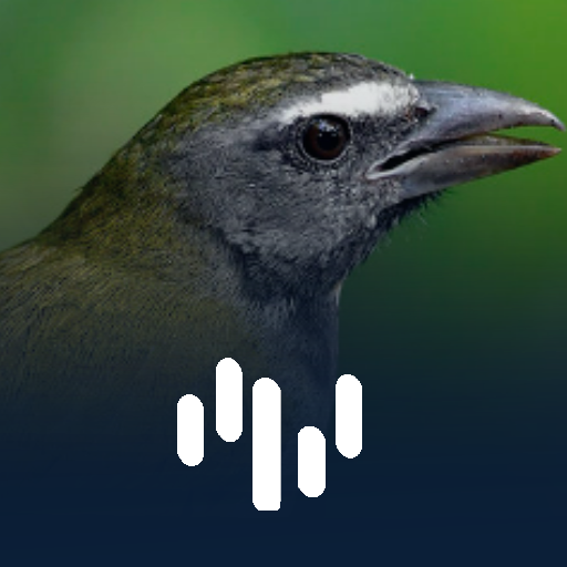 Cantos do Trinca Ferro logo