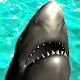 fishy-fishy RUN! Download on Windows