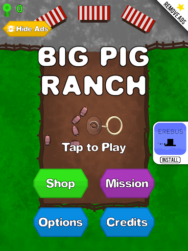 Big Pig Ranch