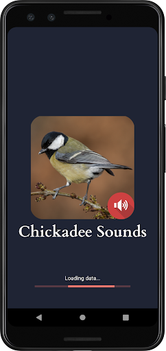 Android application Chickadee Sounds screenshort