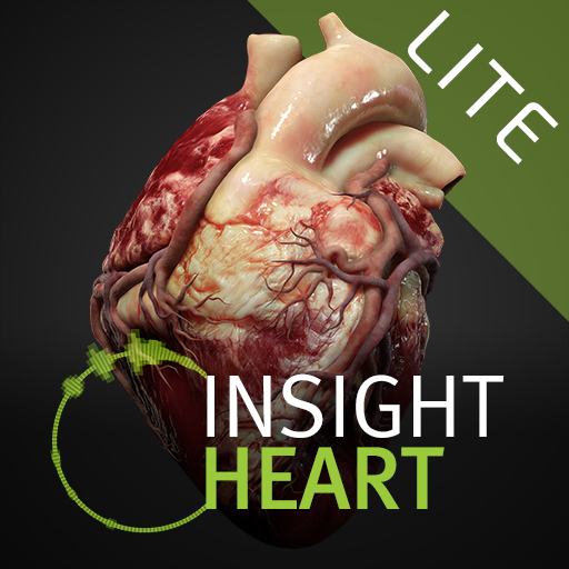 INSIGHT HEART Lite 1.7.1 Icon