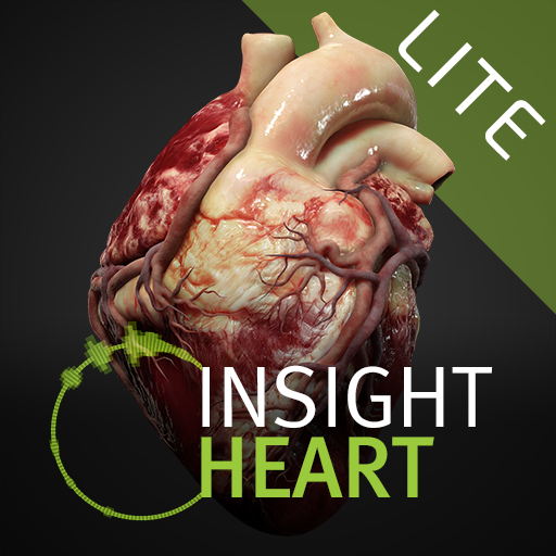 INSIGHT HEART Lite  Icon