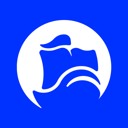 NED Limerick logo