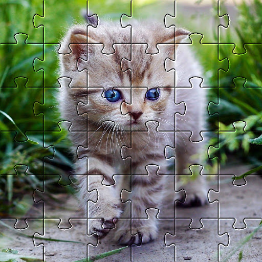 Kittens Cute Cat Jigsaw Puzzle