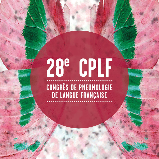 28e CPLF 1.1.1 Icon
