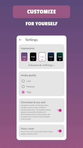 Insget - Video & Story Saver Screenshot 4 - AppWisp.com