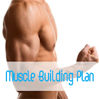 Muscle Building Diet Plan