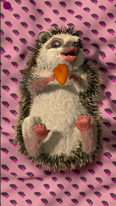 My Hedgehog - Stress Reliever - Screenshot 3
