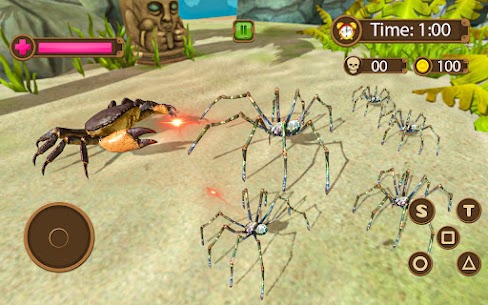 Tarantula Spider Life Game 4