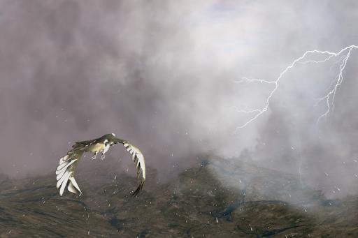 Flying Above The Clouds Screen 2