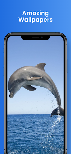 Android application Dolphin Wallpapers 4k HD screenshort