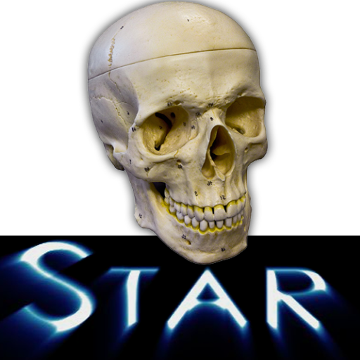 Anatomy Star - Head and Neck logo