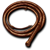 Indy Whip icon