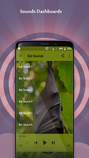 Bat Sounds Screen 3