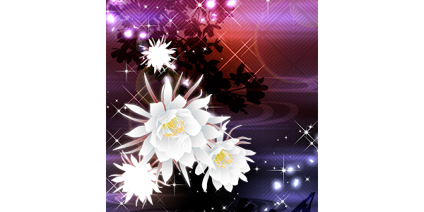 幻想壁紙 月下美人 Google Play のアプリ