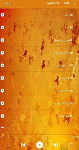 Haydeh هایده بدون اينترنت