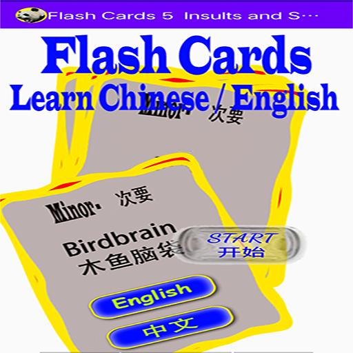CN/EN Flash Cards 5 - Insults logo