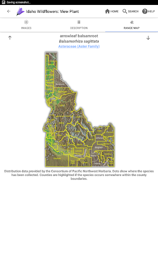 Screenshot of Idaho Wildflowers