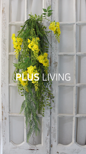 plusliving Screen 2