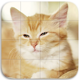Cats Tile Puzzle icon