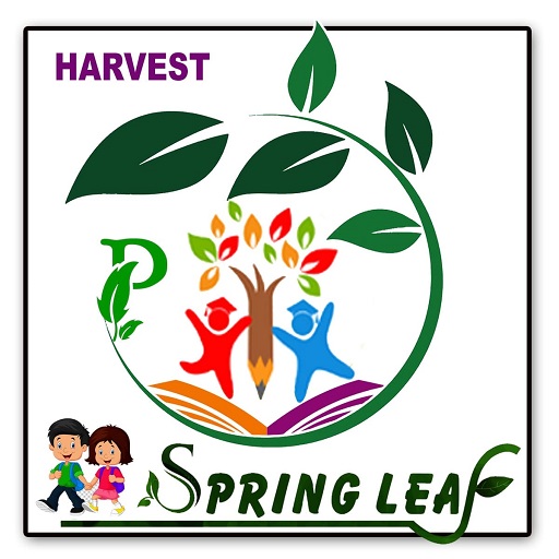 Harvest Spring Leaf School  Icon