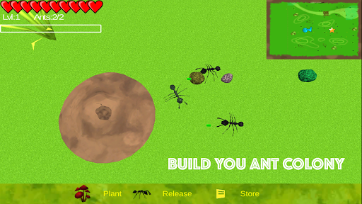 Ant Sim 2