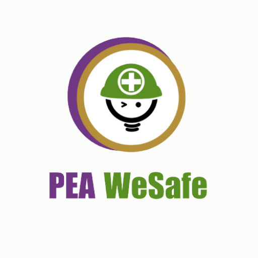 WeSafe logo