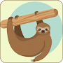 Cute Sloth Wallpapers