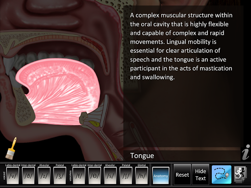 Fricatives Screen 3