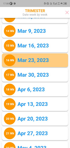 Simple Pregnancy Tracker Screen 3