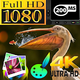 DSLR-4K UltraHD icon