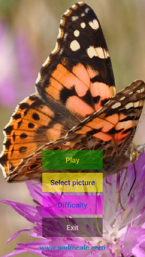 Animals Puzzle Screen 3