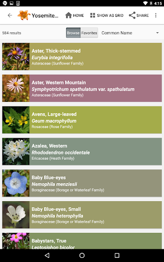 Screenshot of Yosemite Wildflowers