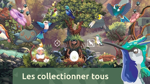 Aperçu de l'application